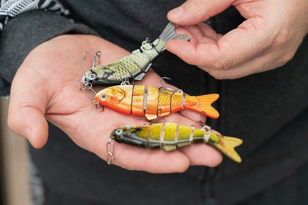 Top des leurres carnassiers efficaces : les meilleurs choix pour chaque espèce de poisson